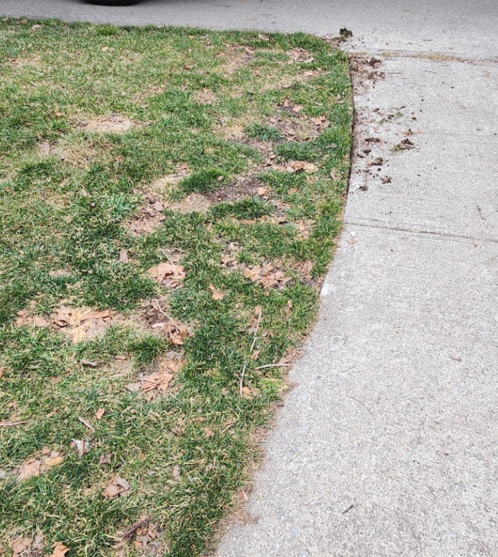 before and after edging a lawn by hand before and after edging a lawn by hand